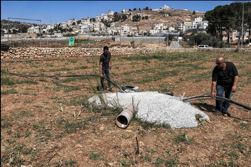 Apartheid hydrique et colonialisme vert en Palestine