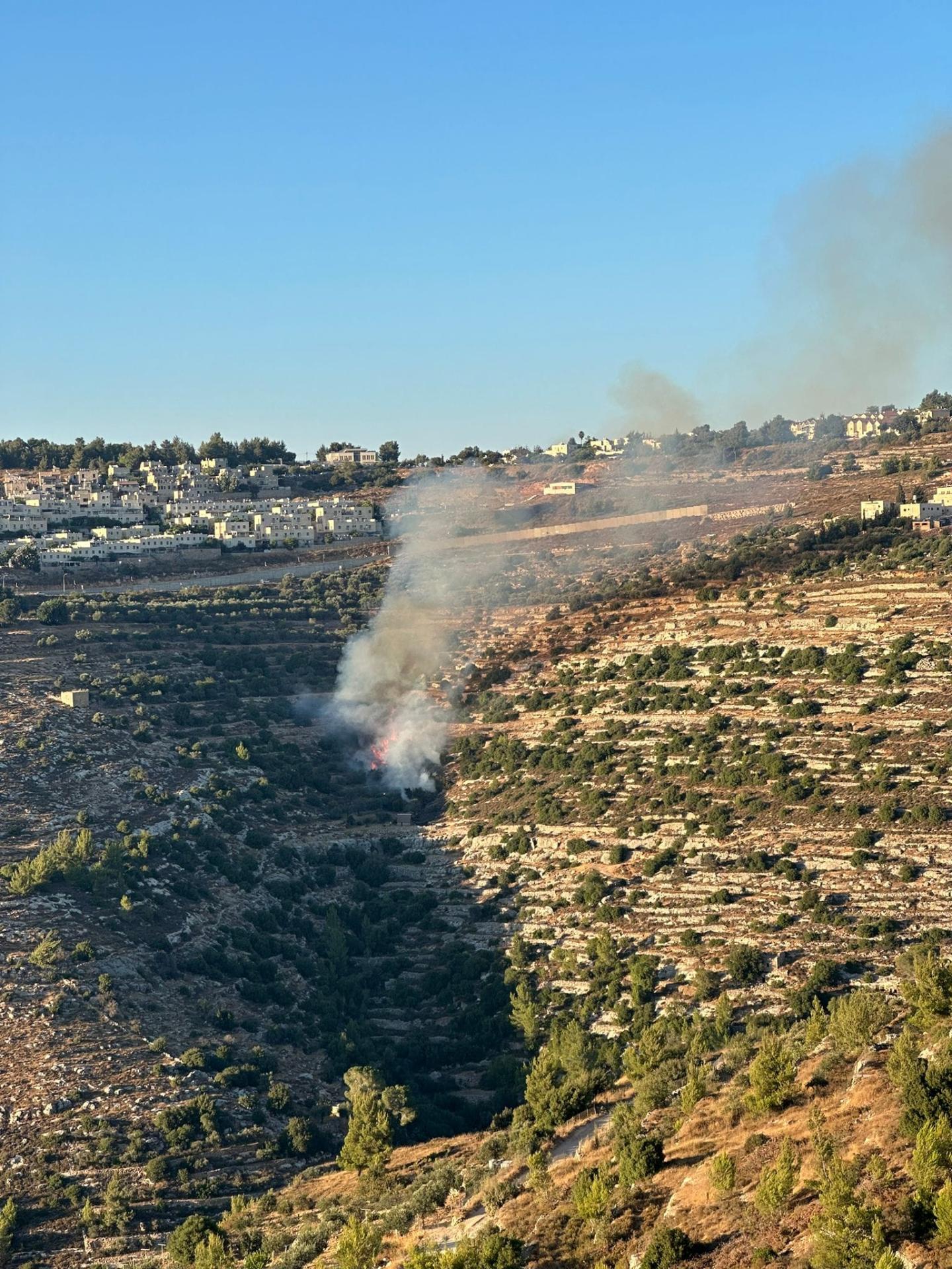 Des colons mettent le feu aux oliviers